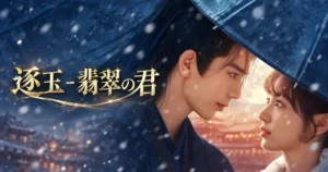 中国ドラマ 逐玉-翡翠の君
